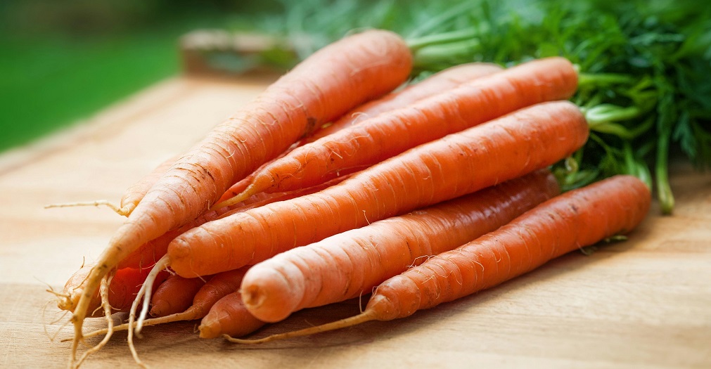 Carrots-Laying.jpg