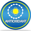 Image that says "antioxidant"