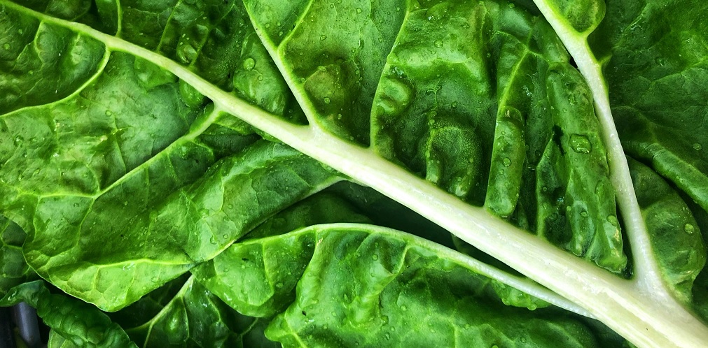 a green leafy vegetable Spinach.jpg