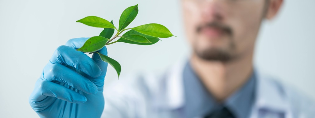 Scientist-Holding-Plant.jpg