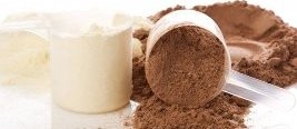 What Are The Different Types Of Protein Powder?