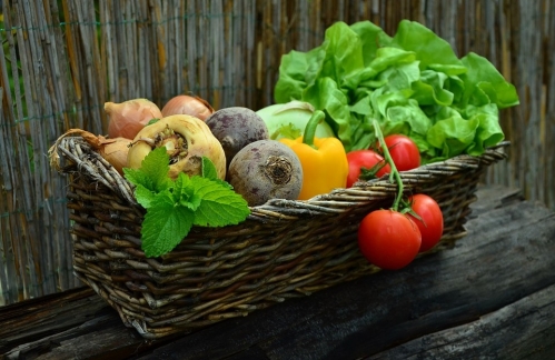 Garden Goodness: The Best Veggies to Fuel Your Weight Loss Journey