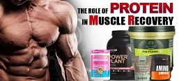 The Role of Protein in Muscle Recovery.