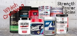 Creatine vs Creatine: What's the Best?