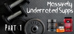 Massively Underrated Supplements - Part 1