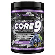Faction Labs Core 9 EAA