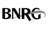 BNRG Icon