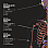 Magnesium types