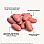 tablets infographic
