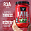 bsn amino x key points