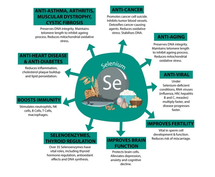Selenium Benefits And Side Effects at Connie Tang blog