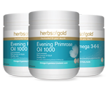 Evening Primrose Oil Icon