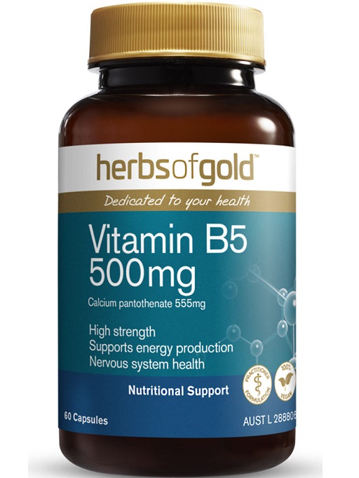 Herbs of Gold Vitamin B5 500mg