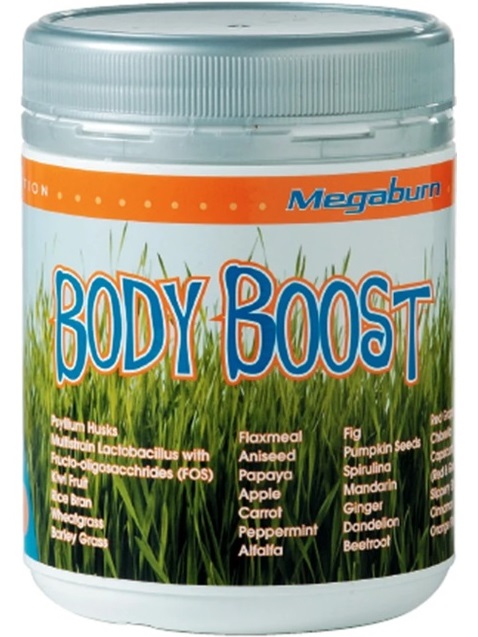 Megaburn Body Boost Powder