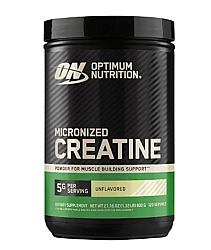 Optimum Nutrition Creatine Powder