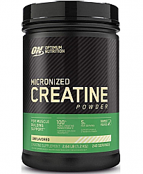 Optimum Nutrition Creatine Powder