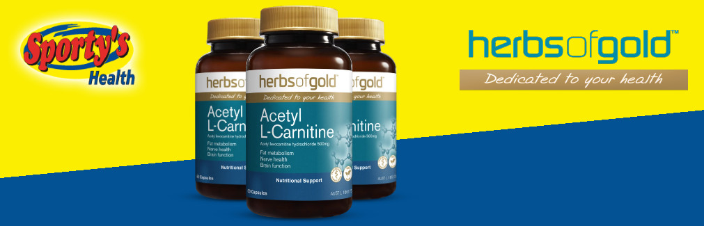 Carnitine Banner