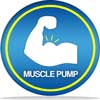 Picture of a bulging bicep, saying beneath it "muscle pump"