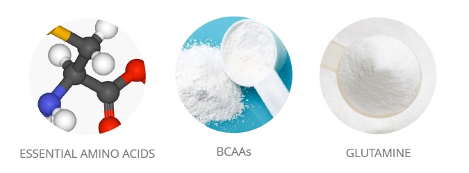 bsc-bceaa-ultra-ingredients