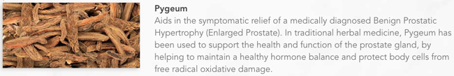 prostate eze pygeum actions