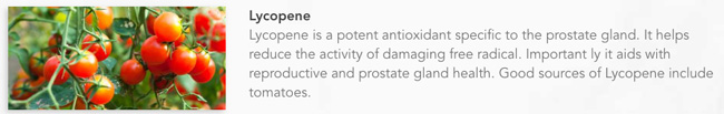 prostate eze lycopene actions