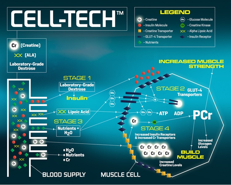 cell tech banner
