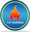 fat-burning compounds