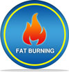 fat burning