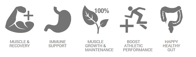 glutamine information