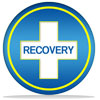 Image of a plus sign with "recovery" written within it for horleys 100% whey