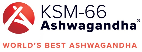ksm-66 logo